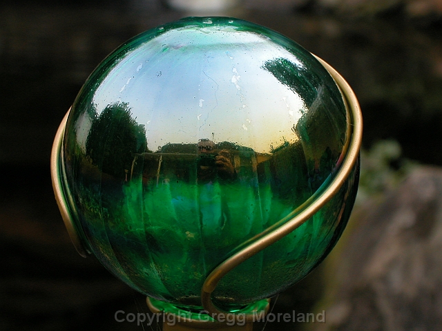 Click here to enter the galleries