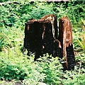 1094810-R2-041-19