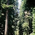 9411400-R3-048-22A