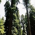 9411400-R3-050-23A