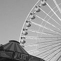 Amusement