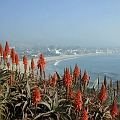 Laguna