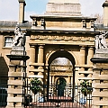 Mews