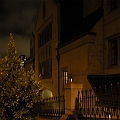 Nighttime_Grace