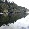 Reflections