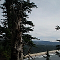 _DSC70060032