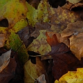 _DSC72060265