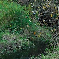 _DSC72110270