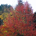 _DSC72140273
