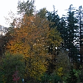 _DSC72230282