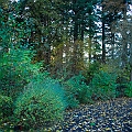 _DSC72250284