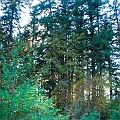 _DSC72260285